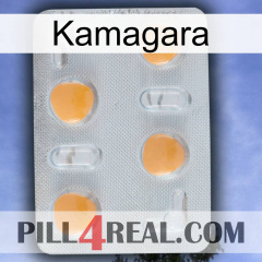 Kamagara 24